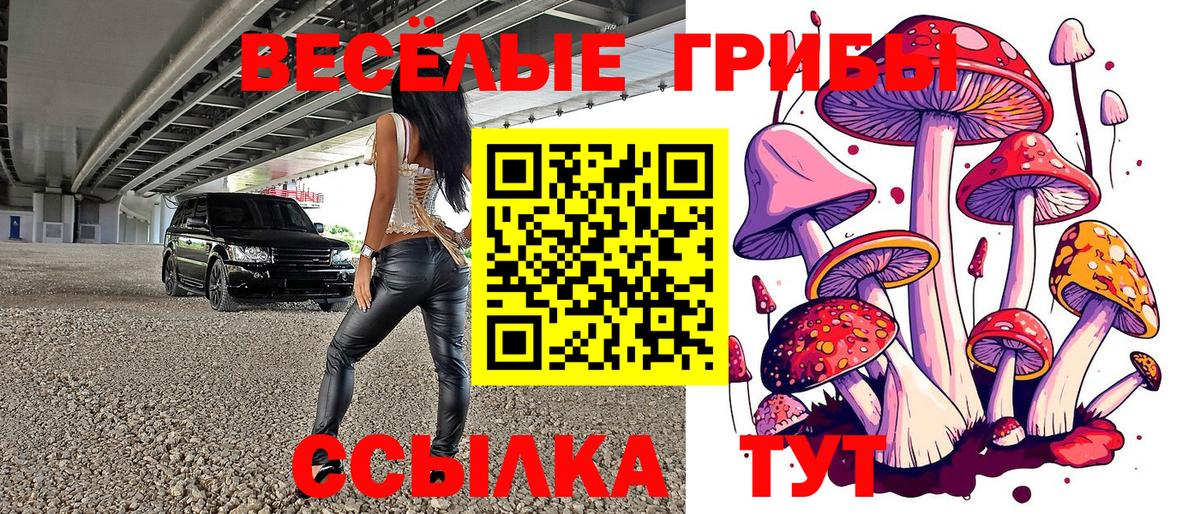 Псилоцибиновые грибы мицелий  Псилоцибиновые грибы MAGIC MUSHROOMS  Ессентуки  Вход с VPN 