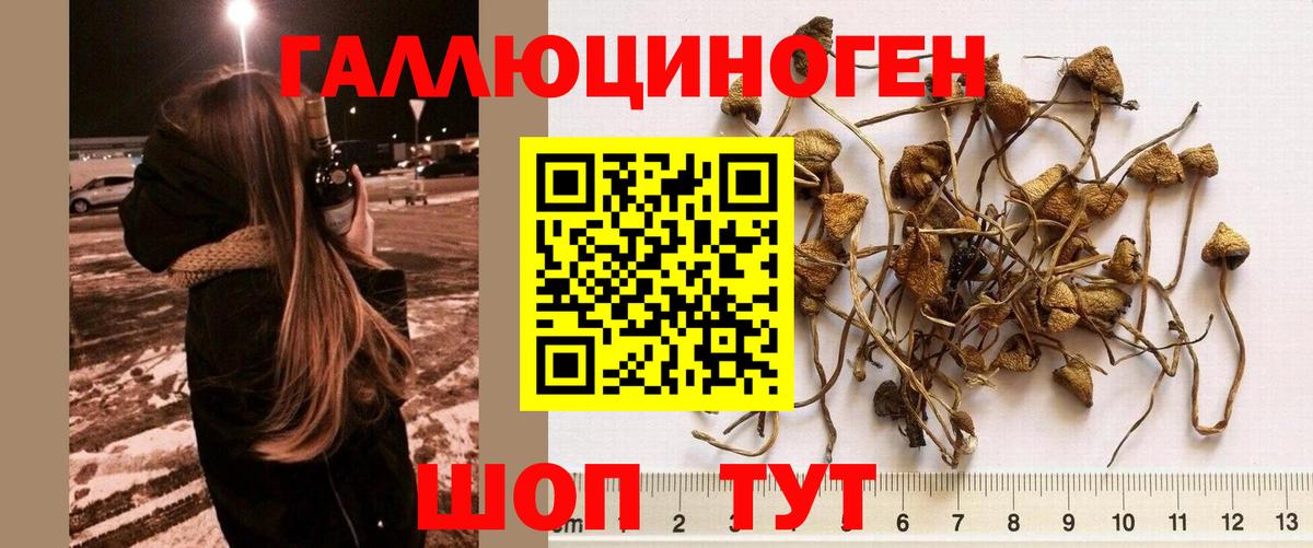 Псилоцибиновые грибы мухоморы Ессентуки